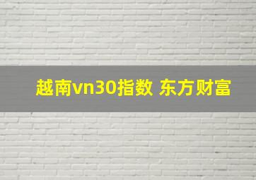 越南vn30指数 东方财富